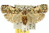  ( - 10ANIC-02048)  @15 [ ] CreativeCommons - Attribution (2010) CBG Photography Group Centre for Biodiversity Genomics