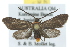  ( - 10ANIC-02182)  @14 [ ] CreativeCommons - Attribution (2010) CBG Photography Group Centre for Biodiversity Genomics