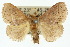  ( - 10ANIC-02365)  @14 [ ] CreativeCommons - Attribution (2010) CBG Photography Group Centre for Biodiversity Genomics