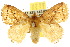  ( - 10ANIC-02376)  @14 [ ] CreativeCommons - Attribution (2010) CBG Photography Group Centre for Biodiversity Genomics