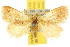  ( - 10ANIC-02420)  @15 [ ] CreativeCommons - Attribution (2010) CBG Photography Group Centre for Biodiversity Genomics