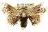  ( - 10ANIC-02425)  @14 [ ] CreativeCommons - Attribution (2010) CBG Photography Group Centre for Biodiversity Genomics
