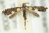  ( - 10ANIC-02726)  @14 [ ] CreativeCommons - Attribution (2010) CBG Photography Group Centre for Biodiversity Genomics
