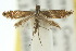  ( - 10ANIC-02762)  @11 [ ] CreativeCommons - Attribution (2010) CBG Photography Group Centre for Biodiversity Genomics