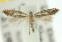  ( - 10ANIC-02764)  @11 [ ] CreativeCommons - Attribution (2010) CBG Photography Group Centre for Biodiversity Genomics