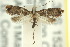  ( - 10ANIC-02823)  @13 [ ] CreativeCommons - Attribution (2010) CBG Photography Group Centre for Biodiversity Genomics