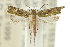  ( - 10ANIC-02951)  @14 [ ] CreativeCommons - Attribution (2010) CBG Photography Group Centre for Biodiversity Genomics