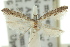  ( - 10ANIC-03038)  @11 [ ] CreativeCommons - Attribution (2010) CBG Photography Group Centre for Biodiversity Genomics