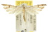  ( - 10ANIC-03153)  @11 [ ] CreativeCommons - Attribution (2010) CBG Photography Group Centre for Biodiversity Genomics