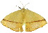  ( - 10ANIC-03319)  @13 [ ] CreativeCommons - Attribution (2010) CBG Photography Group Centre for Biodiversity Genomics