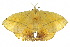  ( - 10ANIC-03322)  @13 [ ] CreativeCommons - Attribution (2010) CBG Photography Group Centre for Biodiversity Genomics