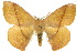  ( - 10ANIC-03330)  @13 [ ] CreativeCommons - Attribution (2010) CBG Photography Group Centre for Biodiversity Genomics