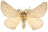  ( - 10ANIC-03343)  @11 [ ] CreativeCommons - Attribution (2010) CBG Photography Group Centre for Biodiversity Genomics