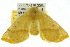  ( - 10ANIC-03355)  @13 [ ] CreativeCommons - Attribution (2010) CBG Photography Group Centre for Biodiversity Genomics