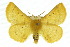  ( - 10ANIC-03357)  @15 [ ] CreativeCommons - Attribution (2010) CBG Photography Group Centre for Biodiversity Genomics