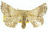  ( - 10ANIC-03359)  @14 [ ] CreativeCommons - Attribution (2010) CBG Photography Group Centre for Biodiversity Genomics
