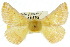 ( - 10ANIC-03361)  @11 [ ] CreativeCommons - Attribution (2010) CBG Photography Group Centre for Biodiversity Genomics