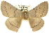  ( - 10ANIC-03368)  @12 [ ] CreativeCommons - Attribution (2010) CBG Photography Group Centre for Biodiversity Genomics