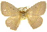  ( - 10ANIC-03369)  @14 [ ] CreativeCommons - Attribution (2010) CBG Photography Group Centre for Biodiversity Genomics