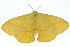  ( - 10ANIC-03375)  @14 [ ] CreativeCommons - Attribution (2010) CBG Photography Group Centre for Biodiversity Genomics