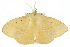  ( - 10ANIC-03376)  @14 [ ] CreativeCommons - Attribution (2010) CBG Photography Group Centre for Biodiversity Genomics