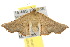 ( - 10ANIC-03467)  @12 [ ] CreativeCommons - Attribution (2010) CBG Photography Group Centre for Biodiversity Genomics
