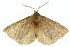  ( - 10ANIC-03608)  @14 [ ] CreativeCommons - Attribution (2010) CBG Photography Group Centre for Biodiversity Genomics