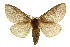  ( - 10ANIC-03610)  @14 [ ] CreativeCommons - Attribution (2010) CBG Photography Group Centre for Biodiversity Genomics