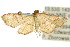  ( - 10ANIC-03654)  @13 [ ] CreativeCommons - Attribution (2010) CBG Photography Group Centre for Biodiversity Genomics