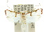  ( - 10ANIC-03705)  @14 [ ] CreativeCommons - Attribution (2010) CBG Photography Group Centre for Biodiversity Genomics