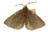  ( - 10ANIC-03711)  @14 [ ] CreativeCommons - Attribution (2010) CBG Photography Group Centre for Biodiversity Genomics