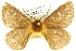  ( - 10ANIC-03715)  @14 [ ] CreativeCommons - Attribution (2010) CBG Photography Group Centre for Biodiversity Genomics