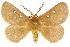 ( - 10ANIC-03719)  @15 [ ] CreativeCommons - Attribution (2010) CBG Photography Group Centre for Biodiversity Genomics
