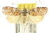  ( - 10ANIC-04030)  @13 [ ] CreativeCommons - Attribution (2010) CBG Photography Group Centre for Biodiversity Genomics
