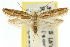  ( - 10ANIC-04083)  @11 [ ] CreativeCommons - Attribution (2010) CBG Photography Group Centre for Biodiversity Genomics