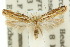  ( - 10ANIC-04085)  @11 [ ] CreativeCommons - Attribution (2010) CBG Photography Group Centre for Biodiversity Genomics