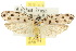  ( - 10ANIC-04245)  @11 [ ] CreativeCommons - Attribution (2010) CBG Photography Group Centre for Biodiversity Genomics