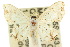  ( - 10ANIC-04289)  @14 [ ] CreativeCommons - Attribution (2010) CBG Photography Group Centre for Biodiversity Genomics