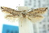  ( - 10ANIC-04474)  @13 [ ] CreativeCommons - Attribution (2010) CBG Photography Group Centre for Biodiversity Genomics