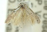  ( - 10ANIC-04481)  @12 [ ] CreativeCommons - Attribution (2010) CBG Photography Group Centre for Biodiversity Genomics