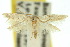 ( - 10ANIC-04522)  @11 [ ] CreativeCommons - Attribution (2010) CBG Photography Group Centre for Biodiversity Genomics