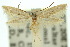  ( - 10ANIC-04524)  @14 [ ] CreativeCommons - Attribution (2010) CBG Photography Group Centre for Biodiversity Genomics