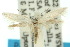  ( - 10ANIC-04538)  @11 [ ] CreativeCommons - Attribution (2010) CBG Photography Group Centre for Biodiversity Genomics