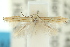  ( - 10ANIC-04560)  @11 [ ] CreativeCommons - Attribution (2010) CBG Photography Group Centre for Biodiversity Genomics