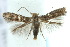  ( - 10ANIC-04658)  @13 [ ] CreativeCommons - Attribution (2010) CBG Photography Group Centre for Biodiversity Genomics