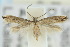  ( - 10ANIC-04677)  @13 [ ] CreativeCommons - Attribution (2010) CBG Photography Group Centre for Biodiversity Genomics