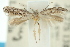  ( - 10ANIC-04739)  @13 [ ] CreativeCommons - Attribution (2010) CBG Photography Group Centre for Biodiversity Genomics