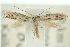  ( - 10ANIC-04743)  @13 [ ] CreativeCommons - Attribution (2010) CBG Photography Group Centre for Biodiversity Genomics
