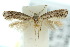  ( - 10ANIC-04758)  @12 [ ] CreativeCommons - Attribution (2010) CBG Photography Group Centre for Biodiversity Genomics