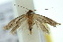 ( - 10ANIC-04768)  @13 [ ] CreativeCommons - Attribution (2010) CBG Photography Group Centre for Biodiversity Genomics